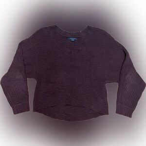 American Eagle Cropped Sweater